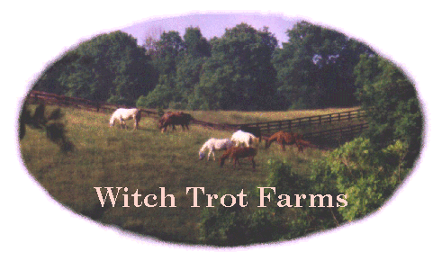 Witch Trot Farms